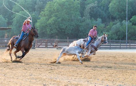 The World Series of Team Roping Goes Global