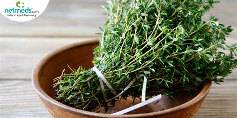 Thyme: Health Benefits, Nutrition, Uses, Recipes And Side Effects