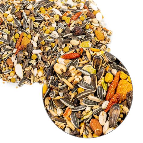 Parrot-Essentials-African-Grey-Parrot-Food-Premium-Seed-Mix-544002001_10__66078.1706542228.1000. ...