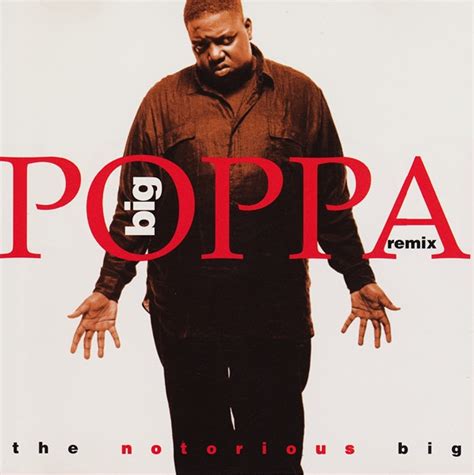 The Notorious B.I.G. – Big Poppa (Remix) (1995, CD) - Discogs