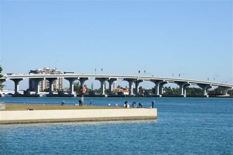 Miami Biscayne Bay Bridge stock photo. Image of water - 12029250