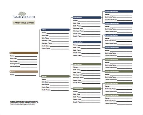 8 Generation Family Tree Template Free - PRINTABLE TEMPLATES