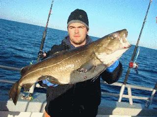 Narragansett Bay Fishing: Winter Cod Fishing is hot