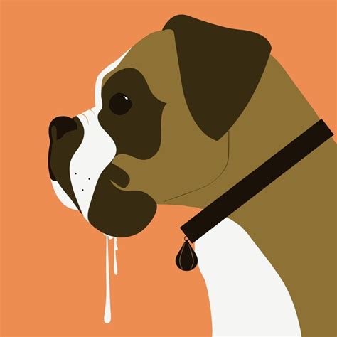 Premium Vector | Boxer dog