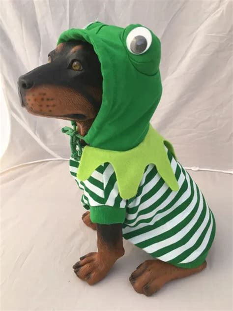 Frog Dog Costume | Rockstar Puppy Boutique