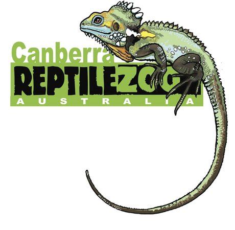 Canberra Reptile Zoo (Nicholls): UPDATED 2019 All You Need to Know ...