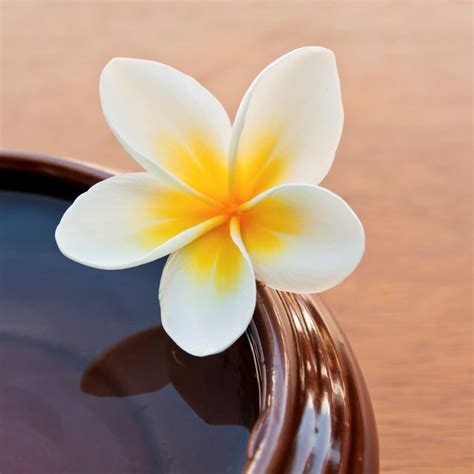 3 Types of Hawaiian Flowers and Their Meanings