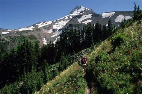 Explore 7 of the Best Hikes Near Portland | GearJunkie