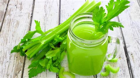 Celery Powder - Herb bio (Herbal Extract Supplier )