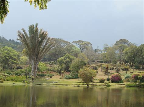 Vumba Botanical Gardens – Zimbabwe Tourism