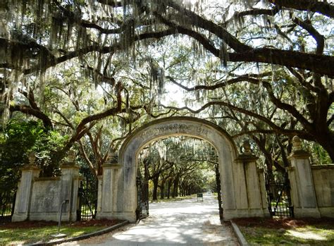 Quo Vadis, Where are we going?: WORMSLOE