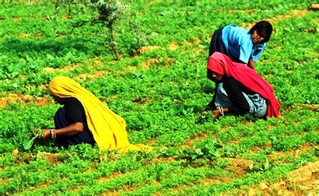 Agriculture : Women In Agriculture