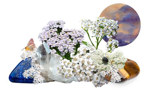 The Incredible Magickal Properties Of Yarrow