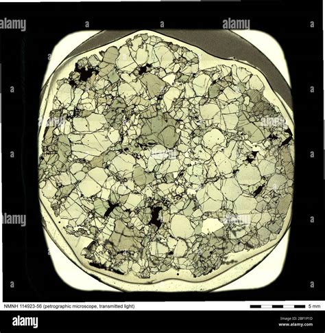 Transmitted-light micrograph of Lherzolite (114923-56) from the ...