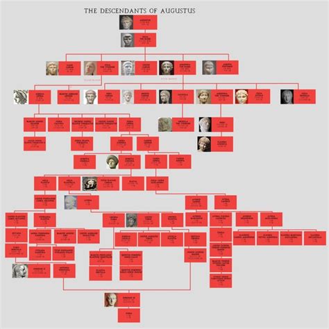 The Descendants of Augustus : r/UsefulCharts