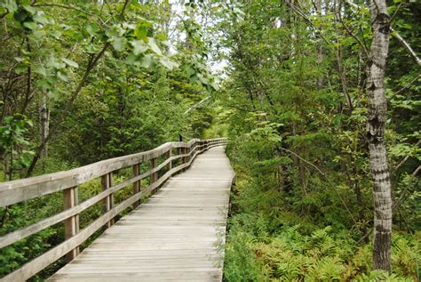 Wooden Footbridge Free Stock Photo - Public Domain Pictures