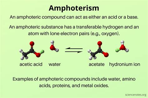 Amphoterism - Amphoteric Definition and Examples