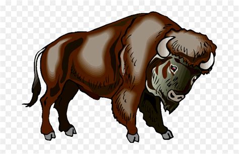 Buffalo Clipart Bison - Free Clip Art Buffalo, HD Png Download - vhv