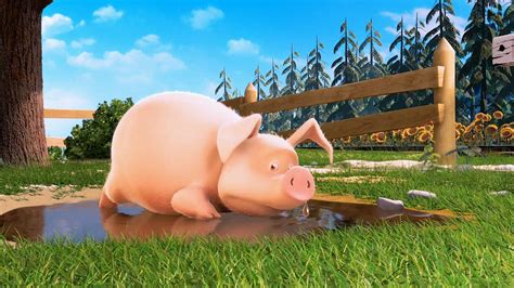 Download 3d Animated Pig Drinking Water Wallpaper | Wallpapers.com