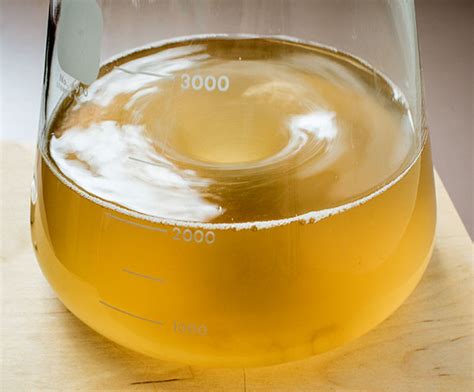 How to Make a Yeast Starter - American Homebrewers Association