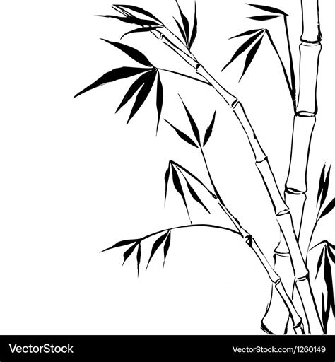 Bamboo Royalty Free Vector Image - VectorStock