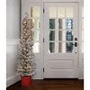 5ft Pre-lit Flocked Berry Pencil Artificial Christmas Tree - Haute Décor: Indoor Slim Potted ...