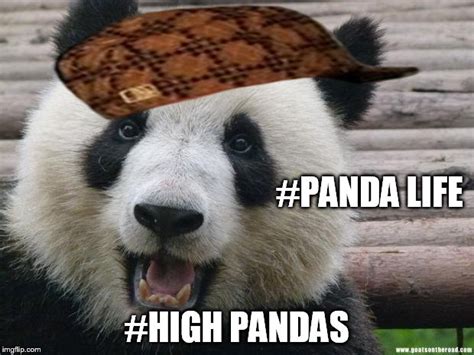 Happy Panda Memes - Imgflip