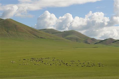 Free photo: Mongolia, Landscape, Wide, Steppe - Free Image on Pixabay - 739817