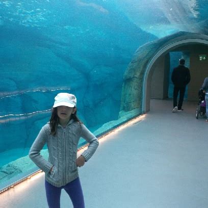 Assiniboine Park Zoo in #Winnipeg - Are the new admission prices worth ...