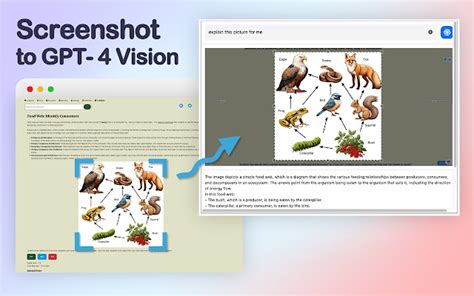 GPT-4 Vision Screenshot - Chrome Web Store