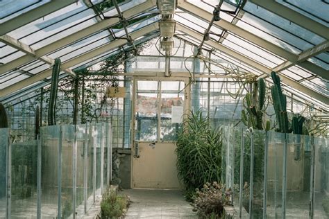 Greenhouse Building Materials: Should I Choose Glass, Polycarbonate, or Poly Film? - Dengarden