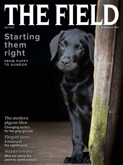 The Field April 2022 (Digital) - DiscountMags.com