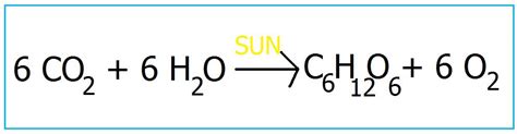 Equation For Photosynthesis