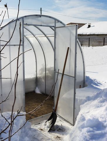 Winter Greenhouse Gardening Tips – Planet Greenhouse