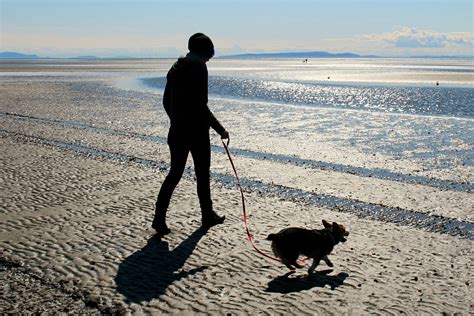 Long Island Pet Friendly Beaches - Pet Friendly Beaches on Long Island ...