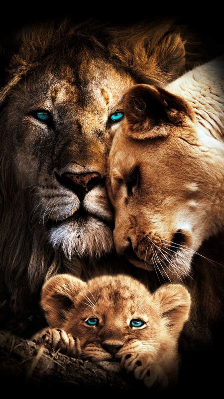 Lions Family - Apps on Galaxy Store | Yavru aslan, Nadide hayvanlar, Hayvan