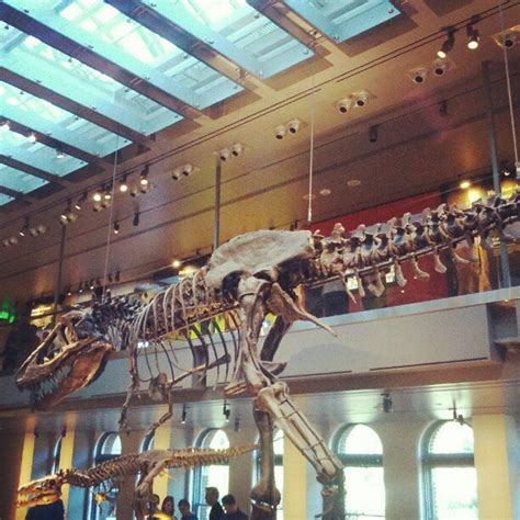 Dinosaur Hall - South LA - 5 tips from 1063 visitors