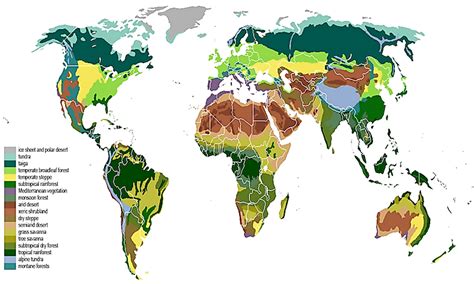 What Is A Biome? - WorldAtlas.com