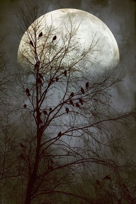 Fabulous Full Moon Photography To Keep You Fascinated - Bored Art