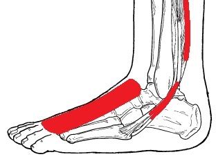 Nerve Pain In Foot: Causes, Symptoms & Diagnosis