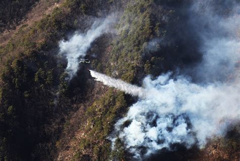 Soldiers join the fight against wildfire in South Korea | Article | The ...