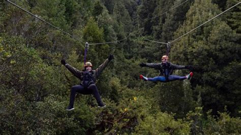 Rotorua Canopy and Zipline Tour Adventure Tips to Plan For The Best Visit - Klook Travel Blog