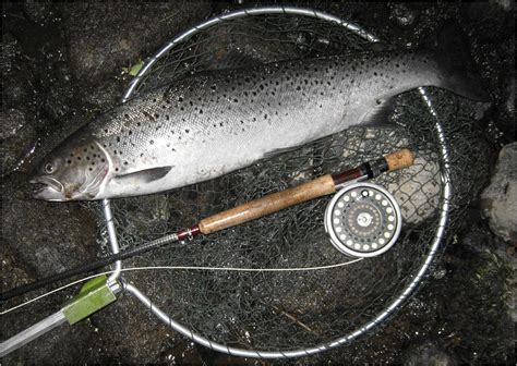 Sea Trout Fishing Tactics