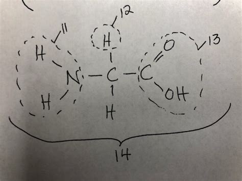 Amino Acid Structure Diagram | Quizlet