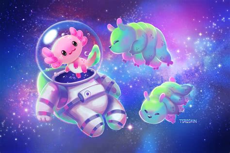 [100+] Cute Axolotl Wallpapers | Wallpapers.com