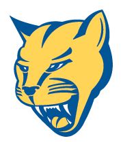 Mount St. Joseph University Lions | MascotDB.com