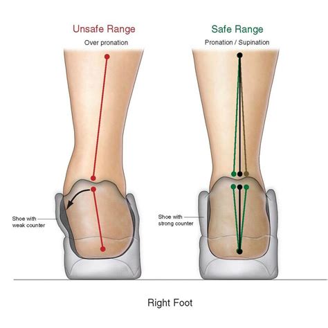 Pronation • After initial ground contact, the foot is designed to roll inward to disperse shock ...