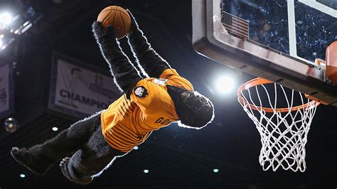 Phoenix Suns Gorilla slides into action, pounces on stray object during ...