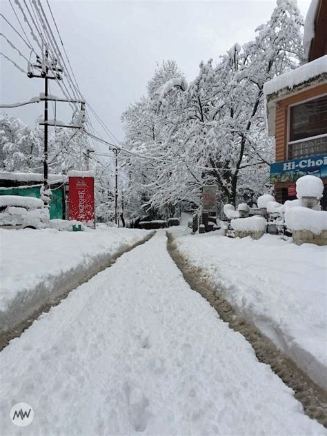 Snowfall In Manali: The Ultimate Guide You'll Ever Need