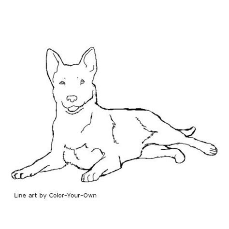 Australian Cattle Dog Coloring Page | Dog line drawing, Dog line art ...